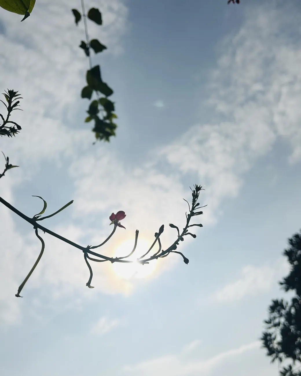 The sun and the moon, photograph by Muskan Kapoor